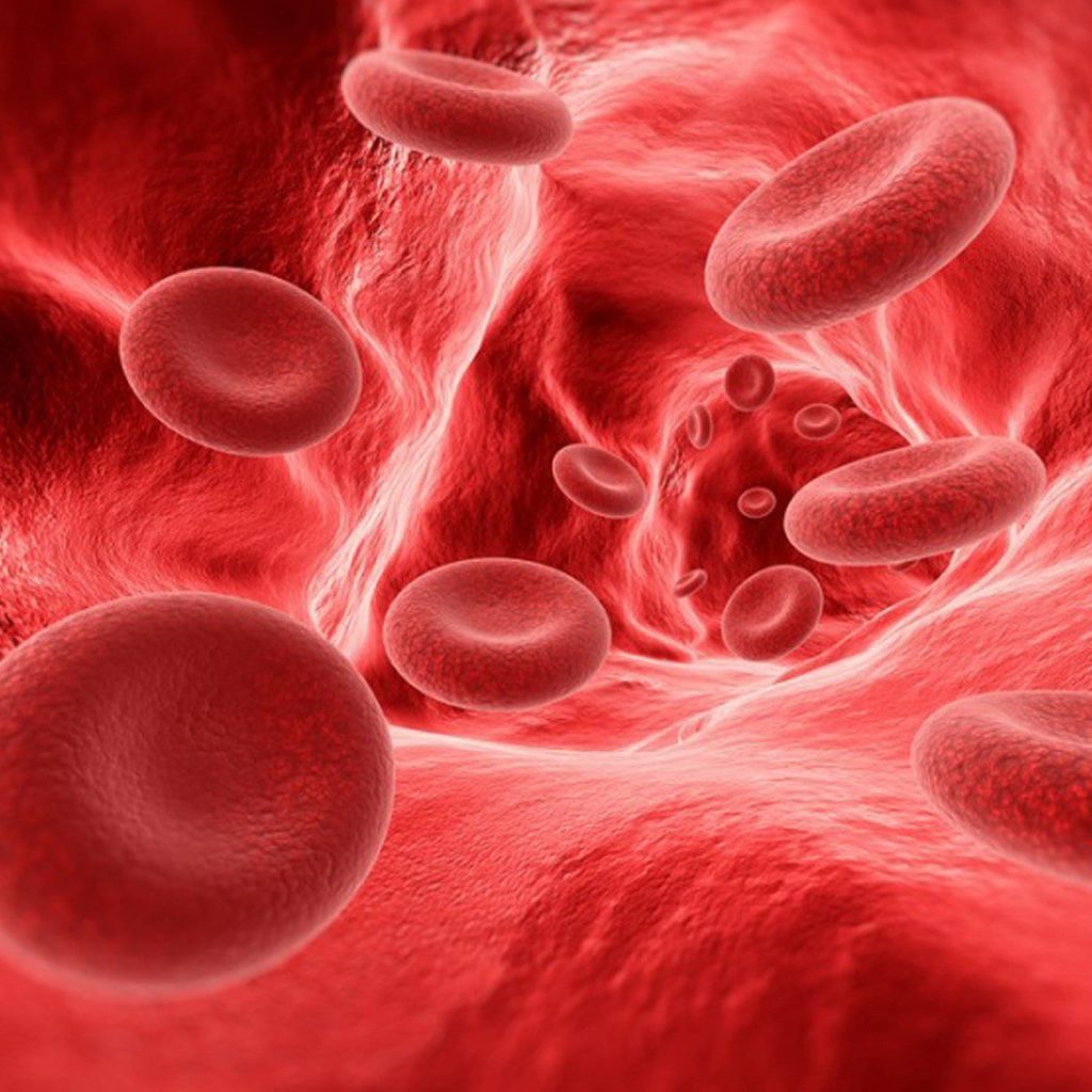 آشنایی بیشتر با مفهوم گروه خونی از منظر پزشکی