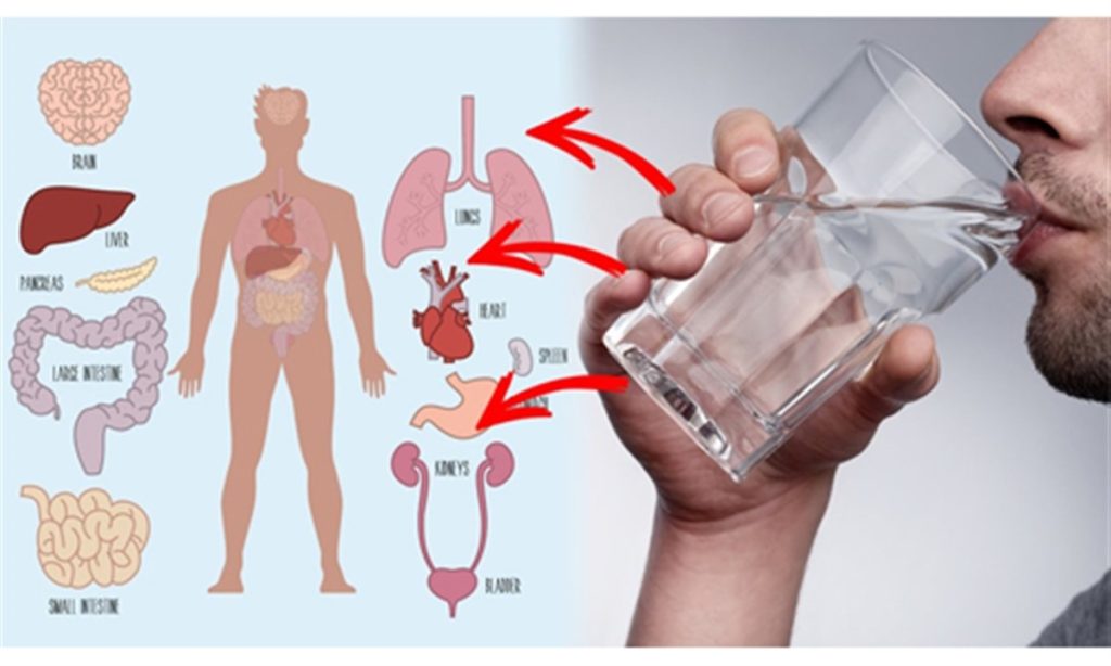 تکنیکی ساده برای نوشیدن آب بیشتر در طول روز